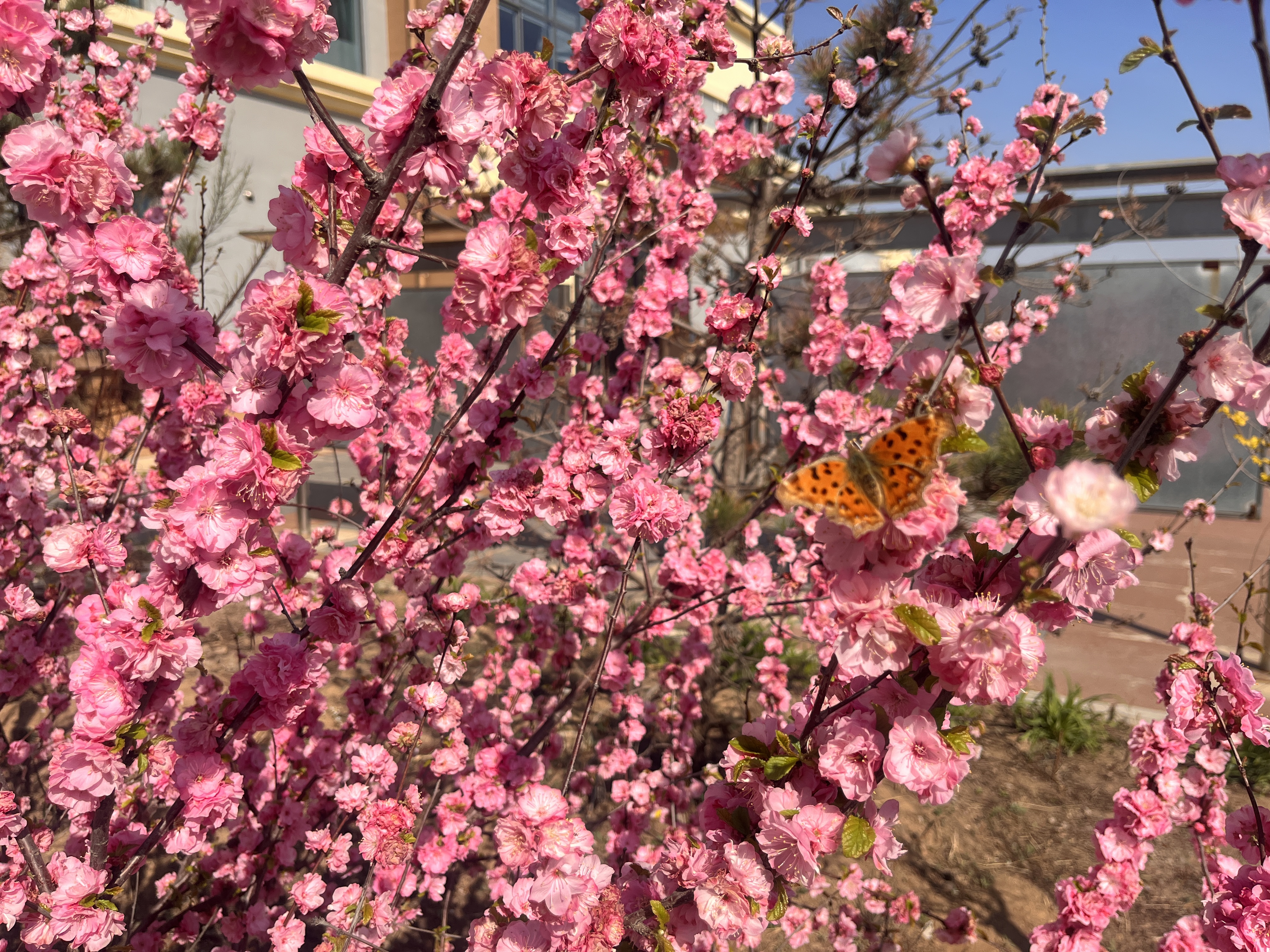 f5aee3479b67a68499958cb585e19ba.jpg f5aee3479b67a68499958cb585e19ba.jpg